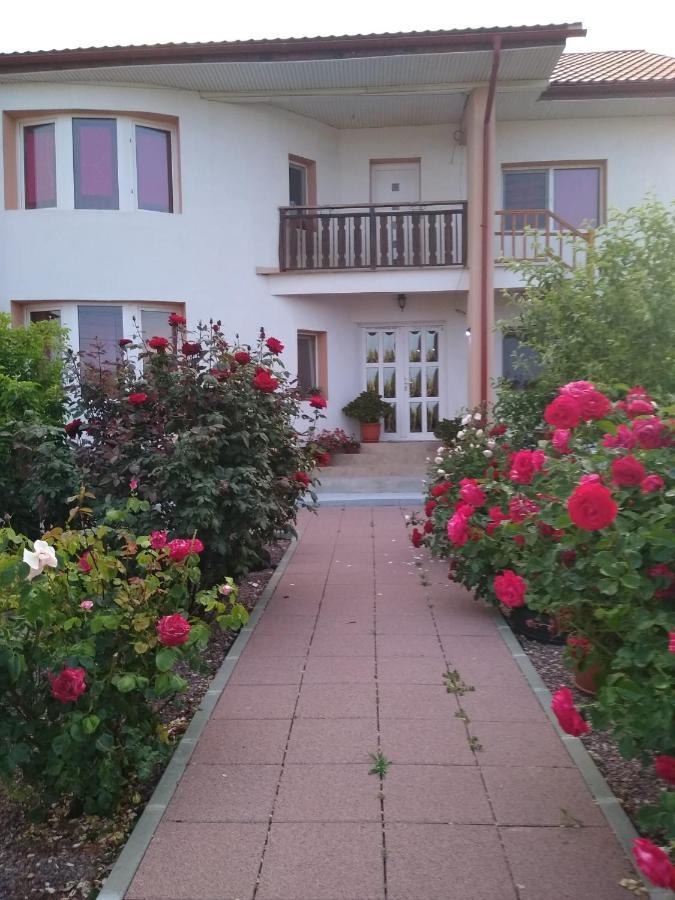 Hotel Casa Doina Douăzeci şi Trei August Exterior foto