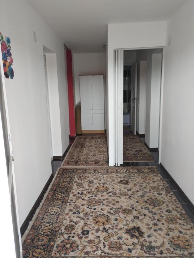 Hotel Casa Doina Douăzeci şi Trei August Exterior foto